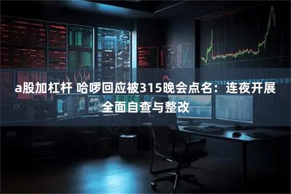 a股加杠杆 哈啰回应被315晚会点名：连夜开展全面自查与整改